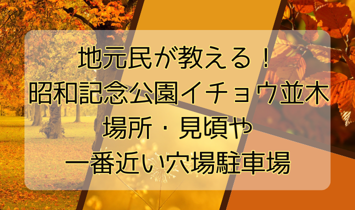 地元民が教える！昭和記念公園イチョウ並木の場所・見頃や一番近い穴場駐車場を徹底解説！のイメージ画像